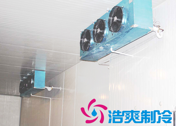 建造安裝5000㎡雞排低溫冷藏庫造價(jià)費(fèi)用是多少？