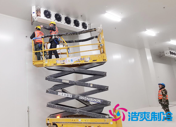 建設農(nóng)產(chǎn)品低溫冷凍庫安裝造價預算多少錢？-浩爽制冷