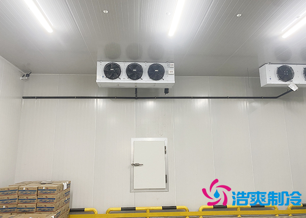 建一個水果催熟庫安裝價格大概多少錢？-浩爽制冷