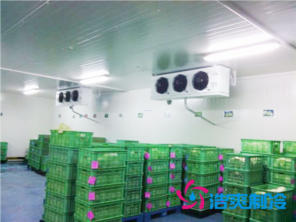 茶葉冷庫設(shè)置多少溫度合適？-浩爽制冷