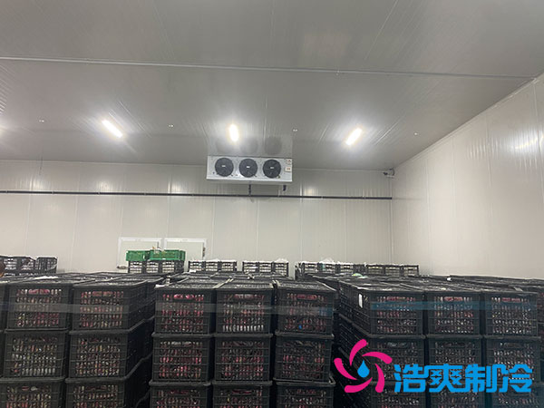 中型冷庫(kù)安裝造價(jià)多少錢？中型冷庫(kù)造價(jià)表-浩爽制冷