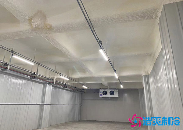低溫冷庫(kù)建造用風(fēng)冷好還是排管好？.jpg