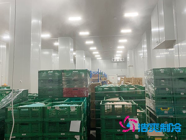 夏季蔬菜保鮮難？500噸冷庫建造價格揭秘！
